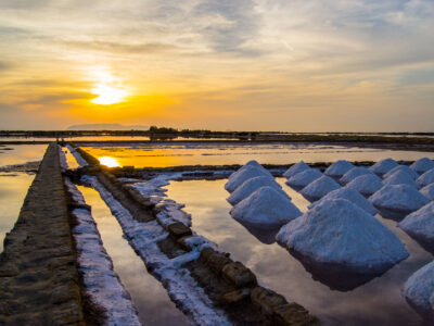 saline-culcasi Saline Culcasi