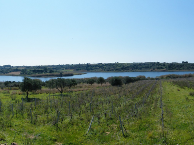 Riserva Naturale Integrata Lago Preola e Gorghi Tondi